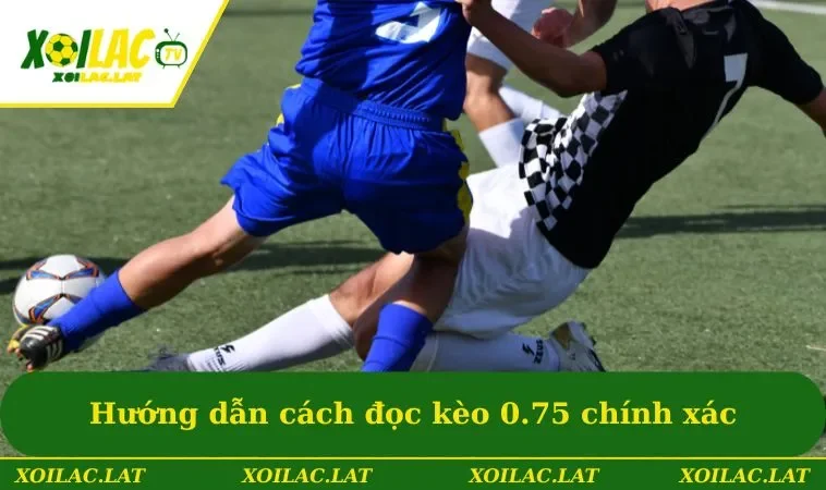 Hướng dẫn cách đọc kèo 3/4 chính xác