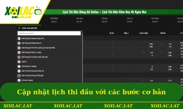 Cập nhật lịch thi đấu với các bước cơ bản