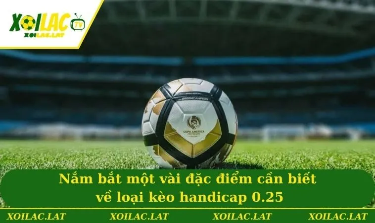 Nắm bắt một vài đặc điểm cần biết về loại kèo handicap 0.25