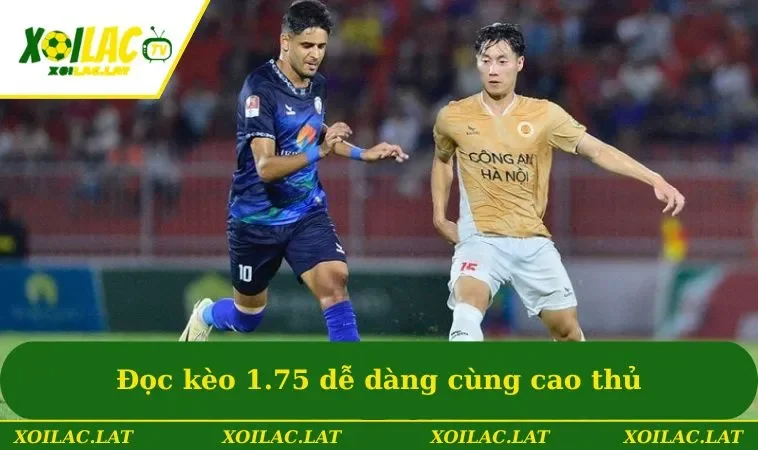 Đọc kèo 1.75 dễ dàng cùng cao thủ