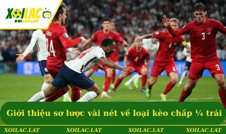 Giới thiệu sơ lược vài nét về loại kèo chấp 1/4 trái