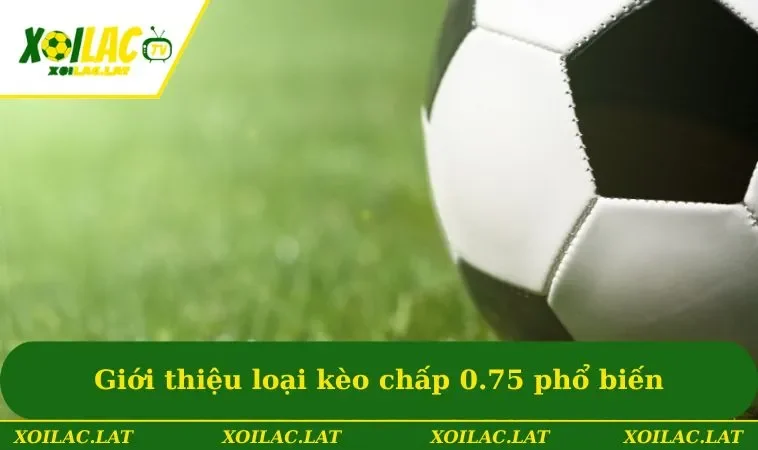 Giới thiệu loại kèo chấp 0.75 phổ biến