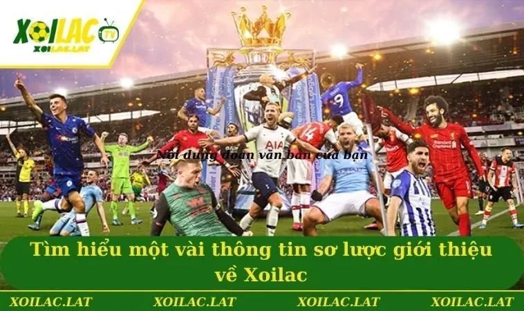 Tìm hiểu một vài thông tin sơ lược giới thiệu về Xoilac