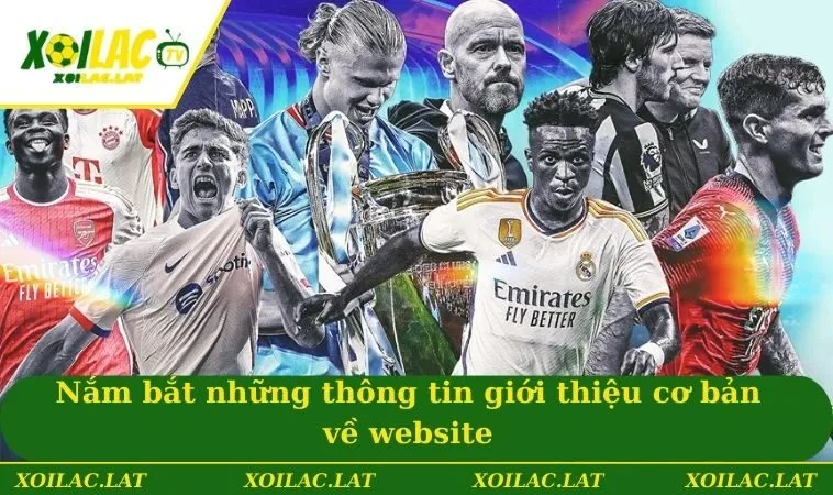 Nắm bắt những thông tin giới thiệu cơ bản về website