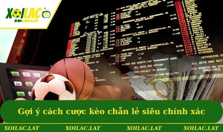 Gợi ý cách cược kèo chẵn lẻ siêu chính xác