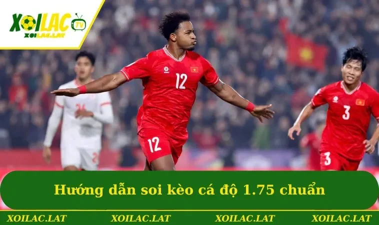 Hướng dẫn soi kèo cá độ 1.75 chuẩn