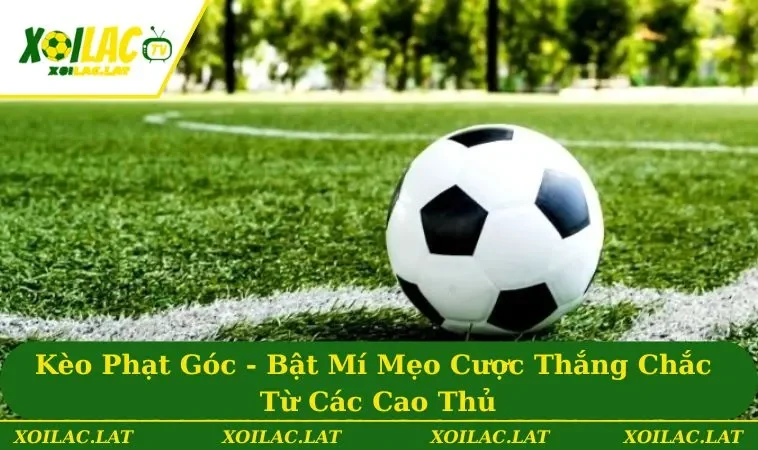 Kèo Phạt Góc - Bật Mí Mẹo Cược Thắng Chắc Từ Các Cao Thủ