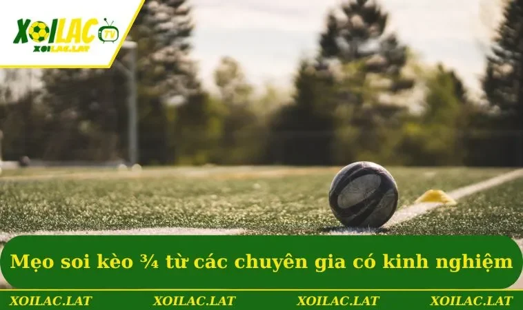 Mẹo soi kèo 3/4 từ các chuyên gia có kinh nghiệm