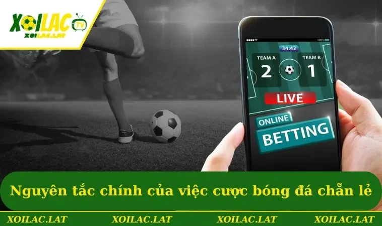 Nguyên tắc chính của việc cược bóng đá chẵn lẻ