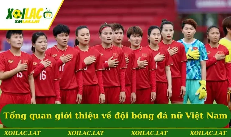 Tổng quan giới thiệu về đội bóng đá nữ Việt Nam