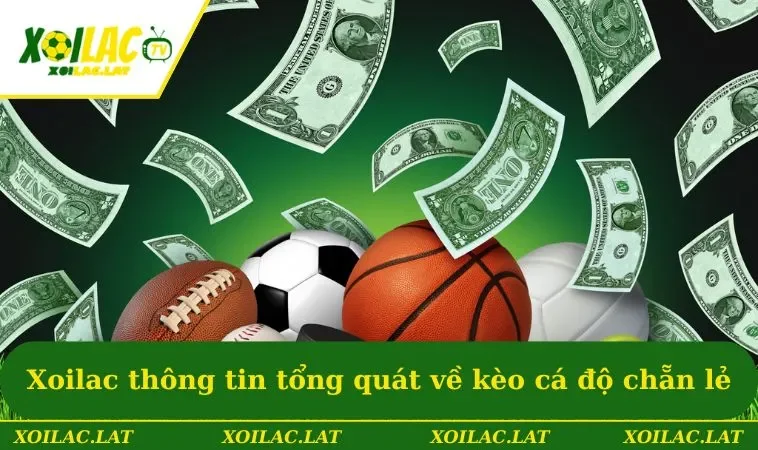 Xoilac thông tin tổng quát về kèo cá độ chẵn lẻ