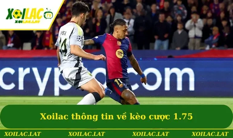 Xoilac thông tin về kèo cược 1.75