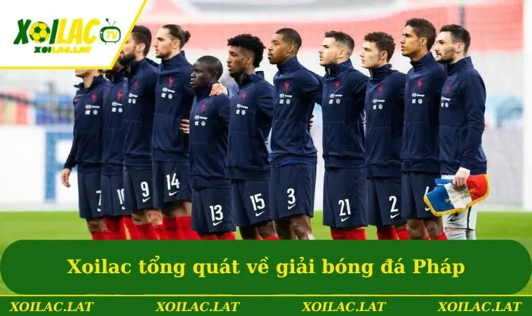 Xoilac tổng quát về giải bóng đá Pháp